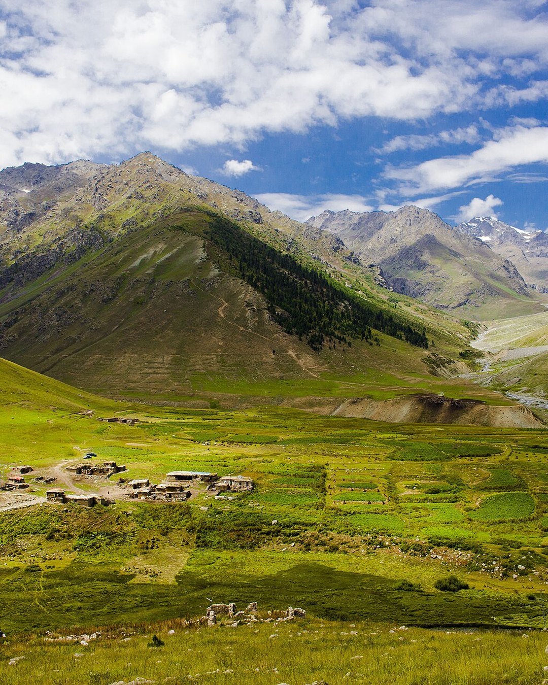 Green meadows and a hillside village beneath mountain slopes at Chilam Chowki, Astore